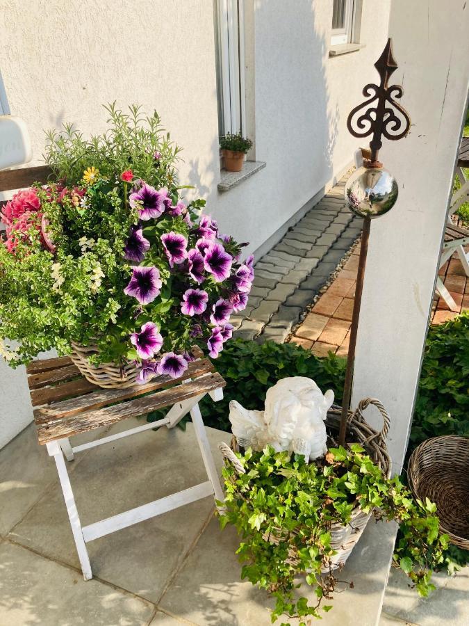 Das Ferienhaus-Zurueck Zum Ursprung Németújvár Kültér fotó